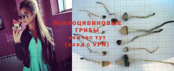 бошки Абдулино