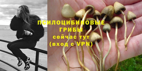 ALPHA PVP Абаза