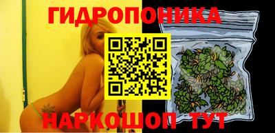 ешки Новозыбков