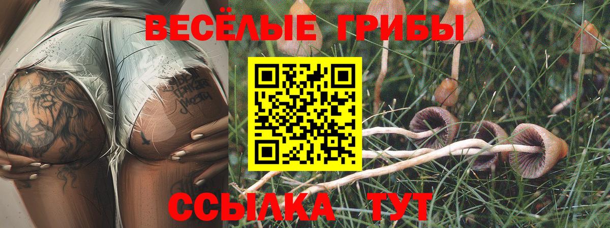 купить наркотики цена  Галлюциногенные грибы ЛСД  Вход с VPN  Псилоцибиновые грибы GOLDEN TEACHER  Юрга 